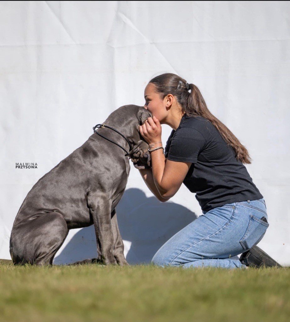 Alyssia Poisson avec un de ses Dogues Allemands bleus